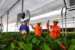 傾力服務生態(tài)農業(yè) 開辟用電“綠色通道”