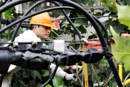 電力菁英服務(wù)上?！皠?chuàng)意產(chǎn)業(yè)”發(fā)展