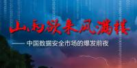 山雨欲來：中國數(shù)據(jù)安全市場的爆發(fā)前夜
