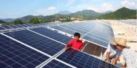 真相大白：光伏真的躺著都能賺錢？