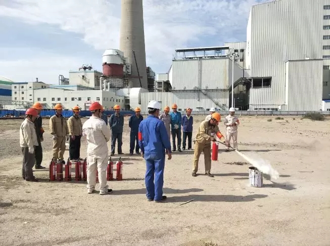 克拉瑪依發(fā)電：盛開在戈壁上的“綠色”之花