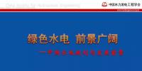 水力發(fā)電工程學(xué)會(huì)：我國(guó)水電規(guī)劃和發(fā)展前景的技術(shù)報(bào)告