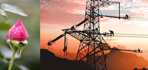 南方區(qū)跨省跨區(qū)交易，2018年會是待放的玫瑰嗎？