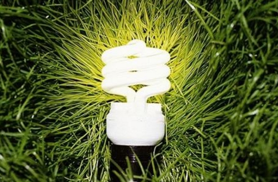 綠證能否突出重圍？