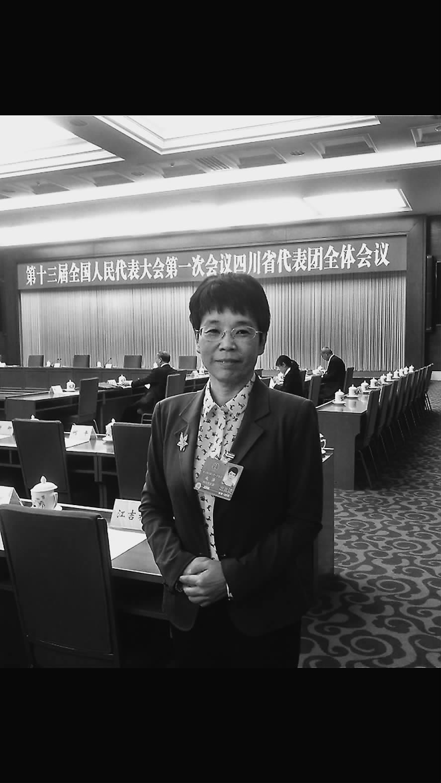 東方電氣研發(fā)部主任工程師趙萍：系統(tǒng)降本促風電高質(zhì)量開發(fā)