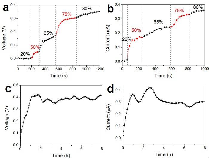 全無(wú)機(jī)鈣鈦礦太陽(yáng)能電池與水蒸汽化“敵”為“友”