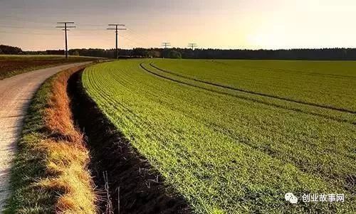 依靠美村網(wǎng)，95后小伙用互聯(lián)網(wǎng)+農(nóng)業(yè)改變農(nóng)產(chǎn)品銷售模式