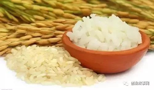 依靠美村網(wǎng)，95后小伙用互聯(lián)網(wǎng)+農(nóng)業(yè)改變農(nóng)產(chǎn)品銷售模式