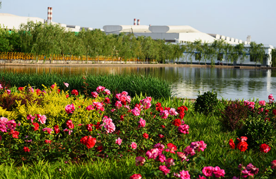 鋼鐵行業(yè)首創(chuàng)——敬業(yè)集團自主研發(fā)煉鋼移動收塵