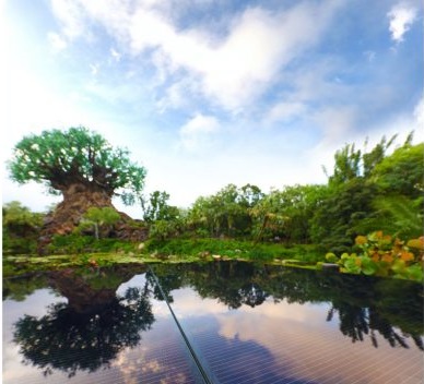 太陽能樂園來了！華特迪士尼將建50MW光伏電站