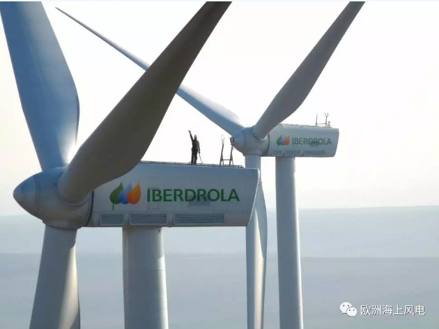 剛剛！德國(guó)公布第二輪海上風(fēng)電競(jìng)標(biāo)結(jié)果 “零補(bǔ)貼”再次上演
