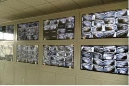 智能化養(yǎng)豬系統(tǒng)，現(xiàn)代化農(nóng)業(yè)發(fā)展之路