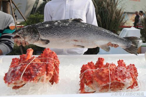 互聯(lián)網(wǎng)+農(nóng)業(yè)，最好切入的是銷售環(huán)節(jié)?