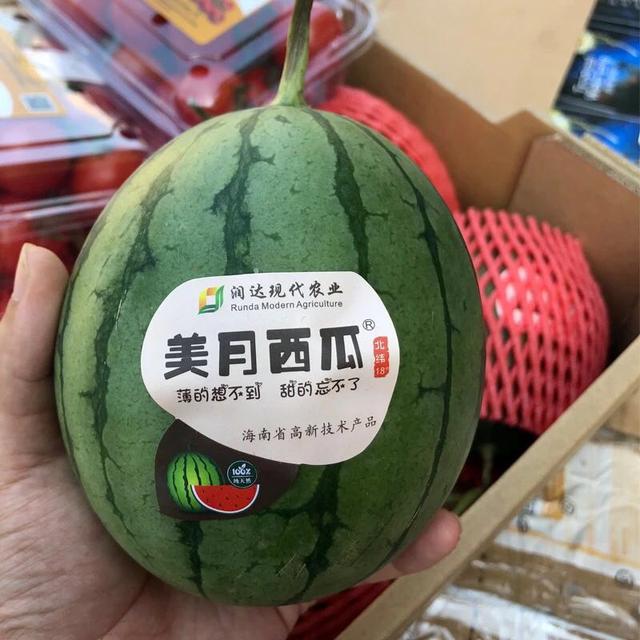 互聯(lián)網(wǎng)+農(nóng)業(yè)發(fā)展模式｜海南特色連皮一起吃的小西瓜—美月西瓜