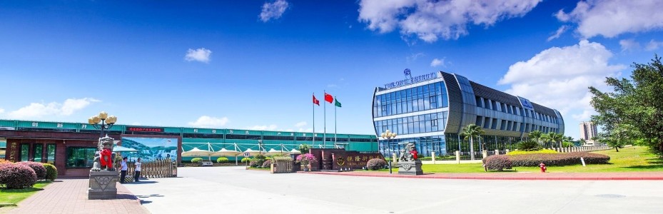 技術(shù)線路問(wèn)題？董小姐的造車(chē)夢(mèng)要黃了？