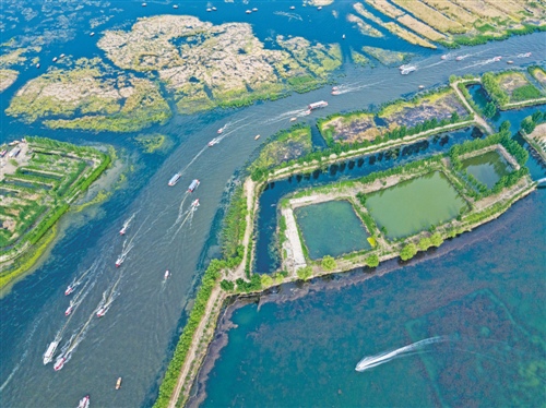 白洋淀水域生態(tài)修復(fù)示范項目啟動環(huán)保上市公司布局雄安新區(qū)