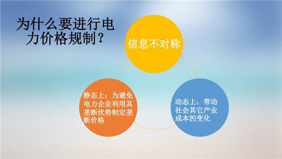 我國電力價格規(guī)制現(xiàn)狀、存在的問題及原因分析