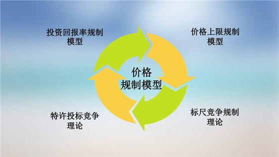 我國電力價格規(guī)制現(xiàn)狀、存在的問題及原因分析