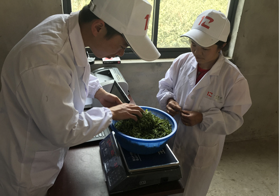 一乙雙平臺探索“互聯(lián)網(wǎng)+農業(yè)” 促進城鄉(xiāng)共同發(fā)展