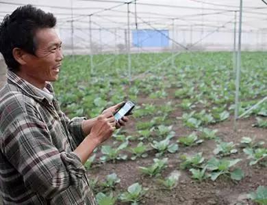 國(guó)務(wù)院常務(wù)會(huì)議鼓勵(lì)的“互聯(lián)網(wǎng)+農(nóng)業(yè)”創(chuàng)新手段，幫你找到了案例