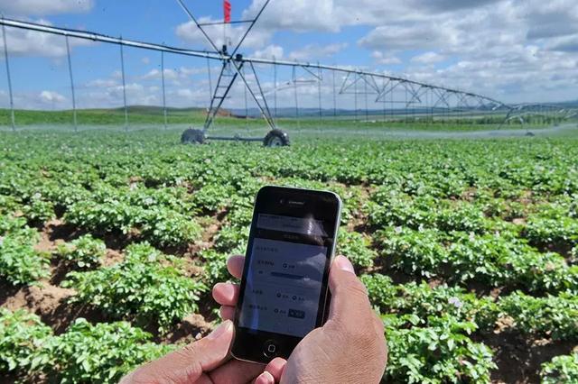 國務(wù)院常務(wù)會議鼓勵的“互聯(lián)網(wǎng)+農(nóng)業(yè)”創(chuàng)新手段，幫你找到了案例