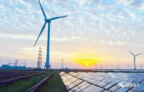 低價中標(biāo)？400MW風(fēng)電項目收到4份正式報價