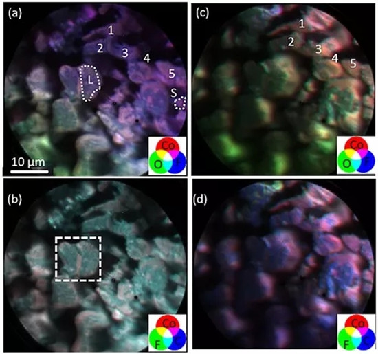 最新發(fā)現(xiàn) 導(dǎo)電劑、粘結(jié)劑的分布可能導(dǎo)致鋰離子電池正極材料熱失控