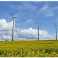 風(fēng)電產(chǎn)業(yè)觀察：風(fēng)電行業(yè)的四個(gè)確定、三個(gè)不確定