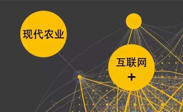 如何用“互聯(lián)網(wǎng)+”重塑農(nóng)業(yè)競爭優(yōu)勢？