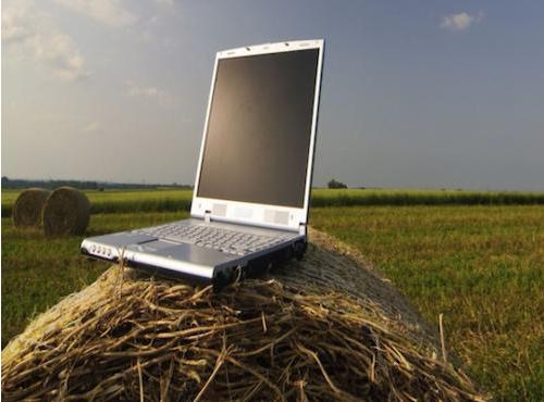 鯤鵬藥業(yè)：“互聯網+”現代農業(yè)的忠誠擁躉