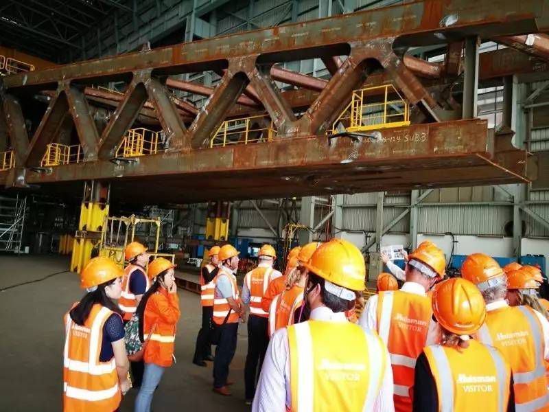 荷蘭的海上風能有多強？