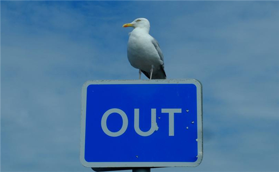 中國動力電池行業(yè)前五出貨量占比80% 二線企業(yè)基本將出局？