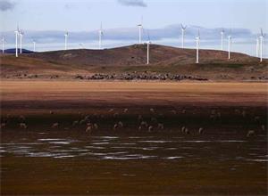 埃及計劃建設(shè)23.3億美元風(fēng)電場項目