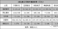 A股共5家公司公布儲能業(yè)績，市場進(jìn)入大航海時代