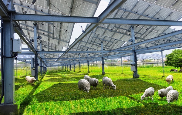 后補(bǔ)貼時代 “架高、一地多用”助力光伏平價上網(wǎng)