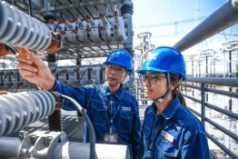 報(bào)告！1000千伏特高壓南陽站檢修完畢