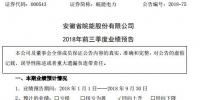 皖能電力：前三季度預盈逾2.7億元 同比增169%至228%