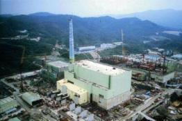 真要用愛發(fā)電？臺(tái)灣主管部門被傳將賤賣“核四”燃料棒