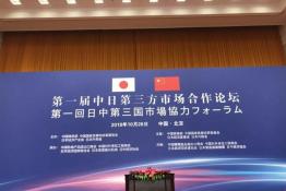 安倍晉三訪華 協(xié)鑫、天合和晶科為光伏行業(yè)長臉了！