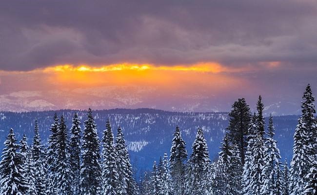 比利時居民面臨冬季供電短缺 積極應(yīng)對