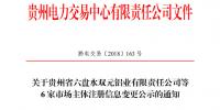 關(guān)于貴州省六盤水雙元鋁業(yè)有限責(zé)任公司等6家市場主體注冊信息變更公示的通知
