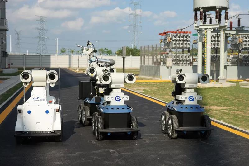 在電網公司上班都“養(yǎng)”什么神奇動物？