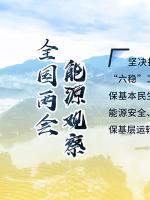 讀圖｜2020政府工作報告中這些內(nèi)容，和能源電力有關(guān)！