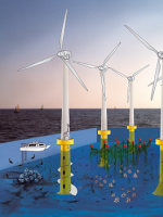 參考 | “海上風(fēng)電+海洋牧場(chǎng)” 精彩圖片分享！